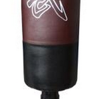 ����� ���������� ��������� SS11-B