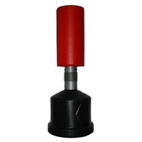 ����� ���������� ��������� SS07