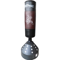 ����� ���������� ��������� SS11-B